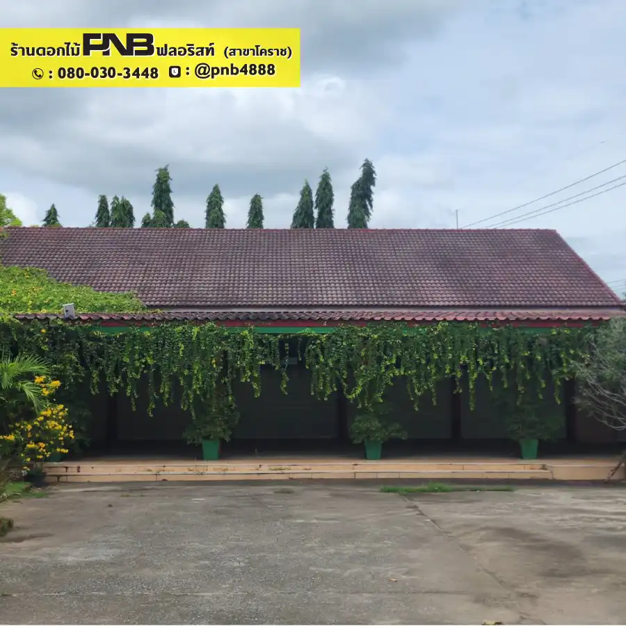 รูปภาพเพิ่มเติมสำหรับ พวงหรีดวัดมะเริงใหญ่ อ.เมือง จ.นครราชสีมา - รูปที่ 5